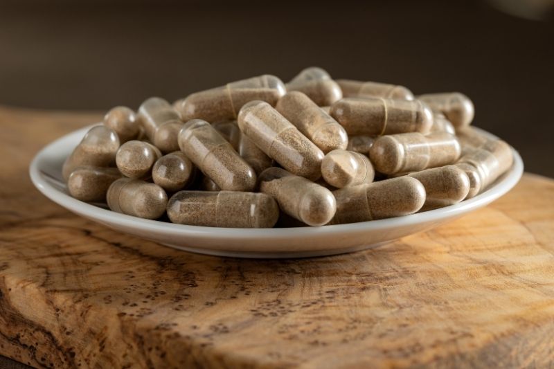 ¿Qué son los hongos adaptógenos? Mitos y verdades