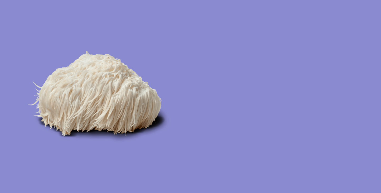 beneficios melena de leon