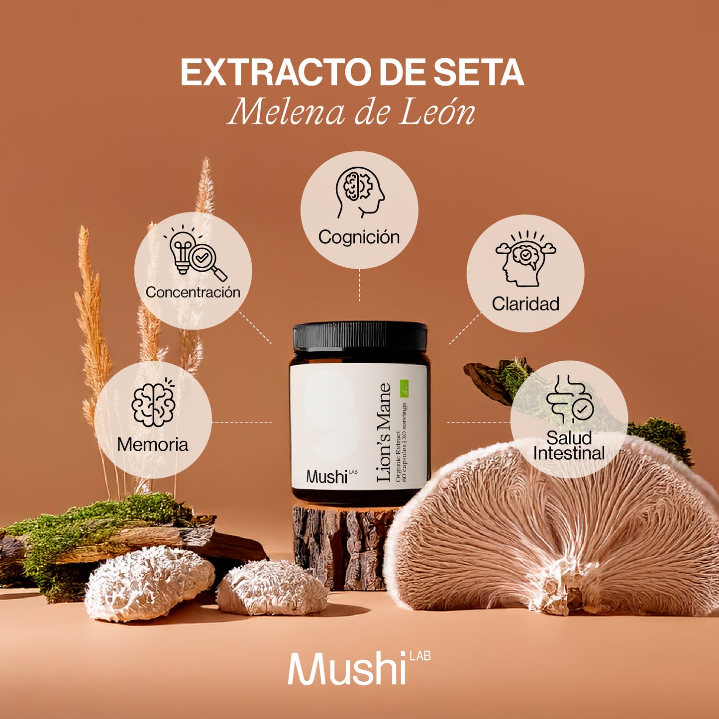 Melena de León en cápsulas