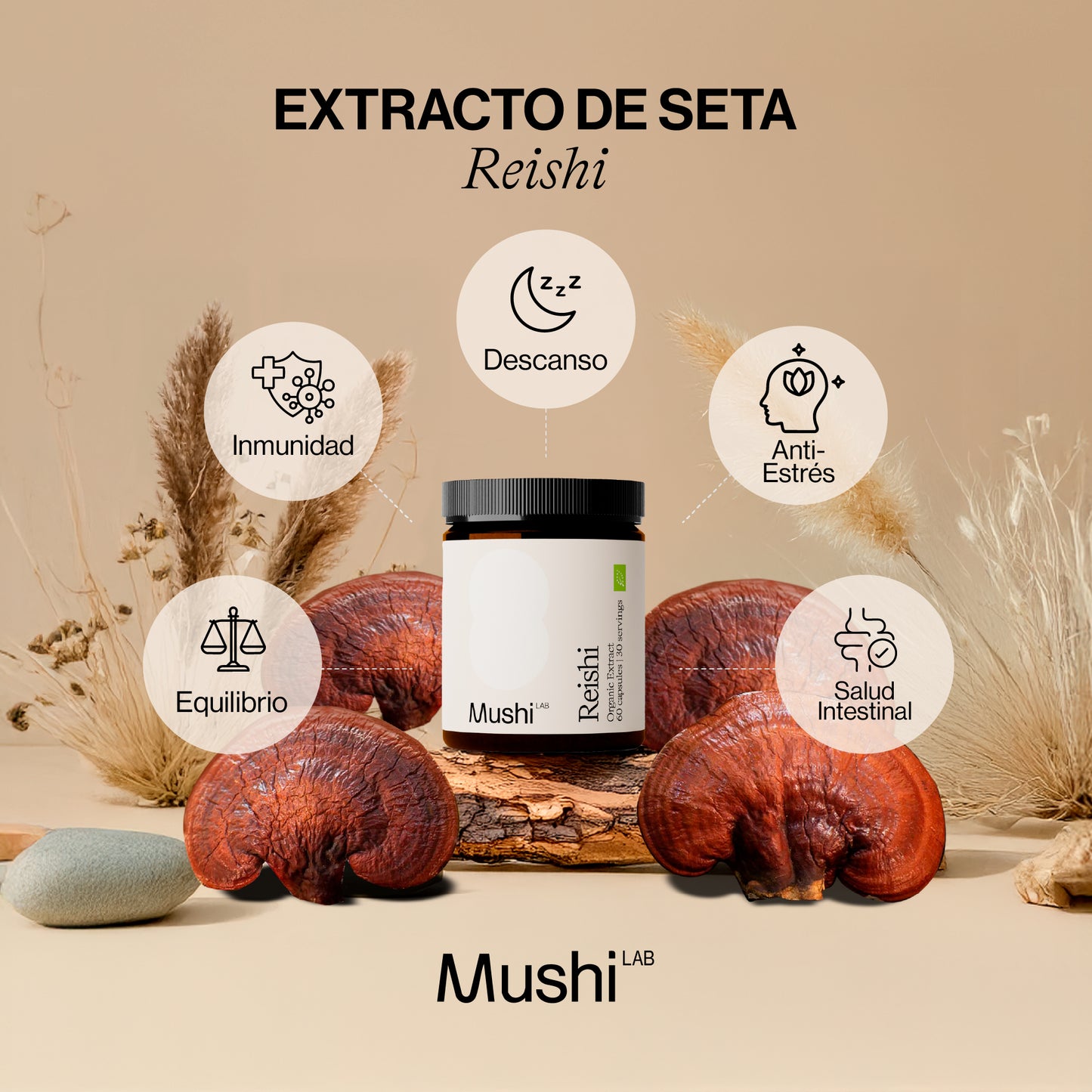 Reishi