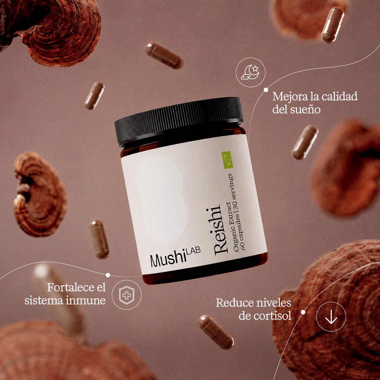 Reishi