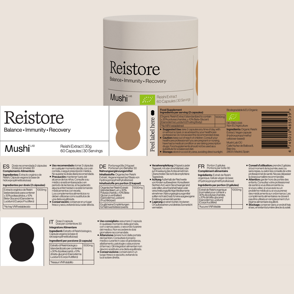 
                      
                        Reistore
                      
                    