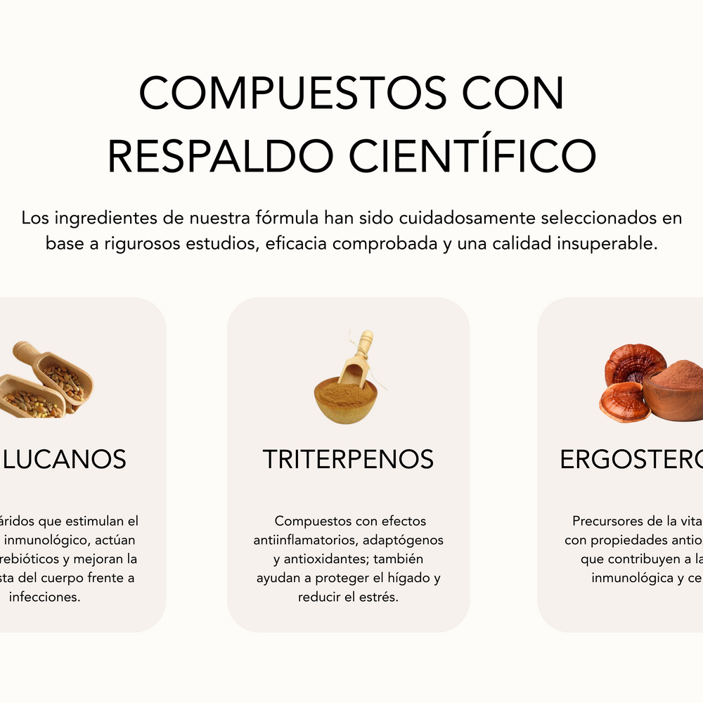 MushiLab