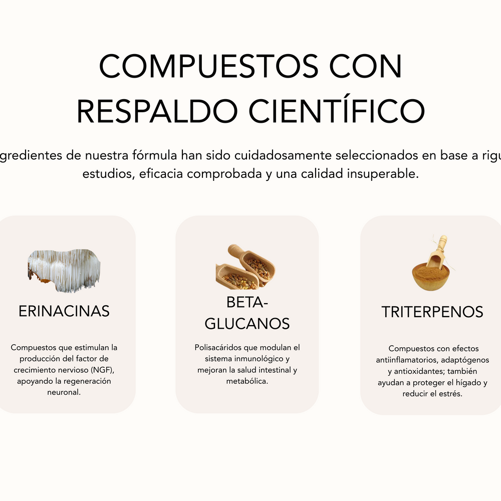 MushiLab