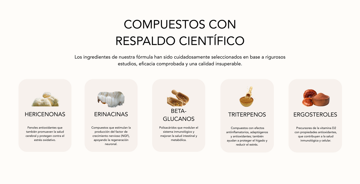 MushiLab